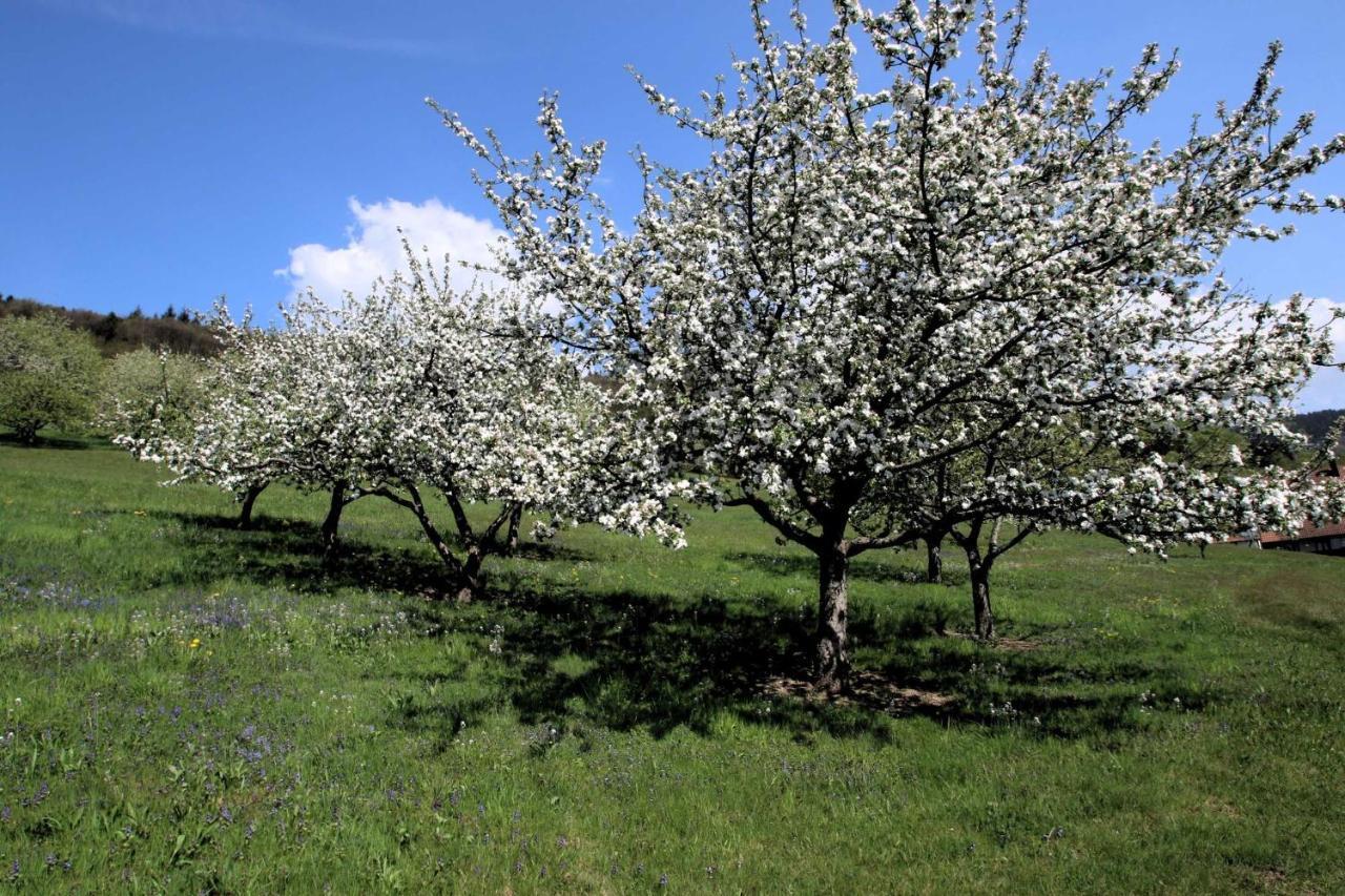 Apartmán Wilderer Stube Sasbachwalden Exteriér fotografie